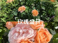 -上海第一八佰伴
