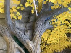 -食悦江南·淮扬菜·烤鸭(亚运村·惠新店)