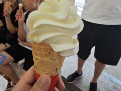 -蜜雪冰城(观音桥步行街店)
