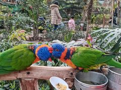 -南宫五洲植物乐园