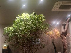 -森SPA·泰式按摩·精油Massage(宝安中心店)