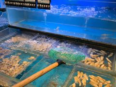 水产区-野妹经典火锅(江夏中百店)