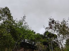 -聚龙山公园