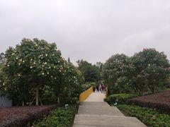 -天府芙蓉园