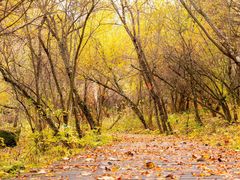-叠溪松坪沟景区
