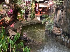 -正佳雨林生态植物园