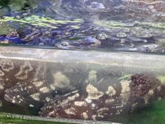 -鑫鸿达·海鲜闽菜热炒小馆(中山路店)