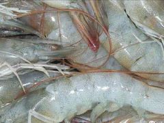 -浩运·海鲜青岛菜·海胆水饺(石老人店)
