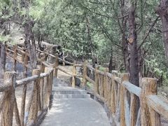 -白水寺森林公园