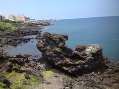 -济州森林小火车生态公园