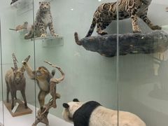 -国家自然博物馆