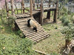 -黔灵山公园