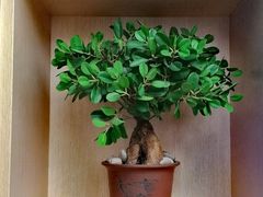 -麦子MaiMassage(打浦桥店)