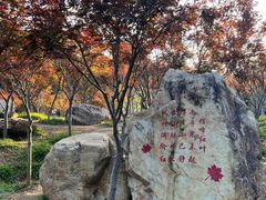-广州市帽峰山景区