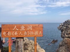 -杨梅坑