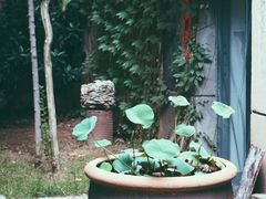 -济南轻骑摩托车有限公司(和平路)