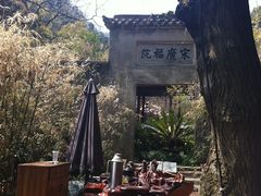 -十八棵（老龙井）御茶园(老龙井店)