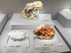 -湖南省地质博物馆