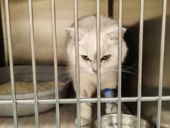 -萌兽医馆·犬猫专科·眼科中心·宠物医院(朝阳门分院)