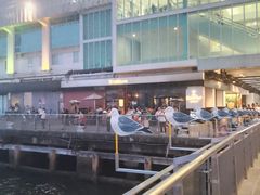 -海港城