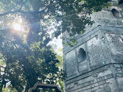 -江心屿景区