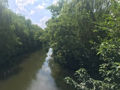 -溱湖国家湿地公园