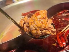 -来涮蜀鲜货火锅串串香(菜市口店)