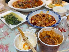 -龙翔山庄雷鸡肉(青城后山泰安古镇店)