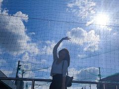 -艾吉宠物医院·疑难杂症转诊中心·猫友好(碧江路院)