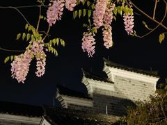 -南塘老街
