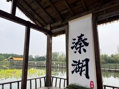 -溱湖国家湿地公园