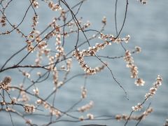 -颐和园