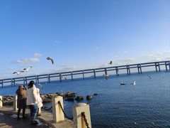 -黑石礁公园