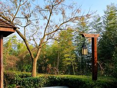 -天目湖涵田半山温泉