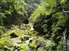 -龙水峡地缝景区