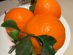 大果盘-龙森园火锅(琴台路店)