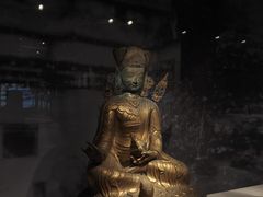 -四川大学博物馆