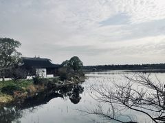 -上海海湾国家森林公园