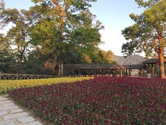 -广州市流溪河国家森林公园