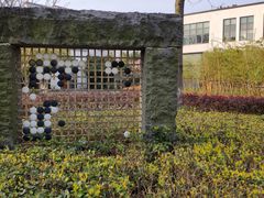 -杭州城北体育公园