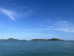 -珊瑚岛