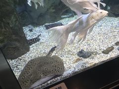 -正佳极地海洋世界