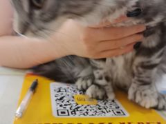 -宠颐生宠物医院·犬猫全科·皮肤科(商业街店)