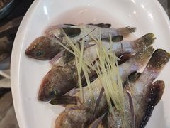 -青蓬蒸汽海鲜·深圳老字号·团建聚会(壹方城店)