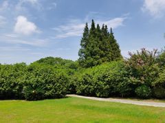 -长兴岛郊野公园农场食堂