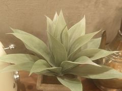 -Ciao窑炉披萨餐厅(宁波阪急店)