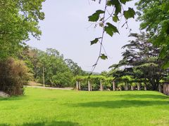 -青岛德国总督楼旧址博物馆