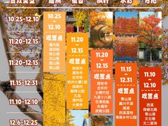-北山街历史文化街区
