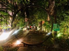 -大树头森林餐厅(番禺广场店)