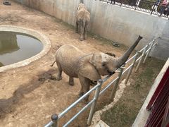-西霞口神雕山野生动物世界